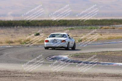 media/Oct-04-2025-OnGrid (Sat) [[44bd565ffa]]/Purple Group/Grapevine/